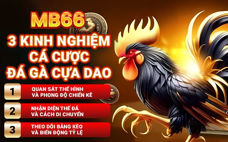 ca-cuoc-da-ga-cua-dao
