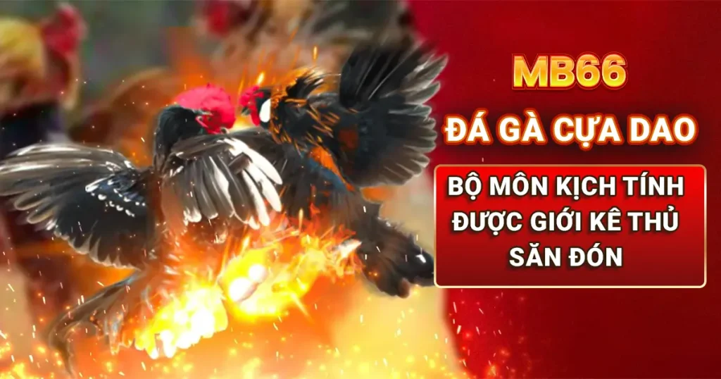 da-ga-cua-dao