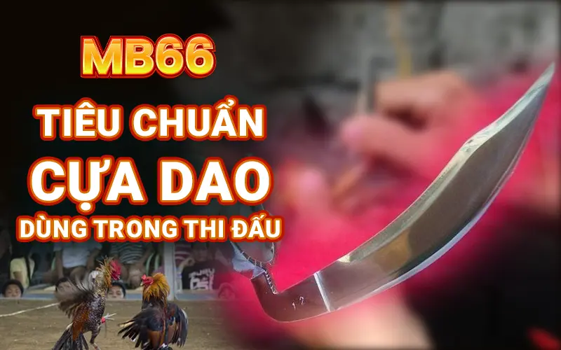 vu-khi-da-ga-cua-dao